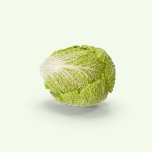 Napa Cabbage