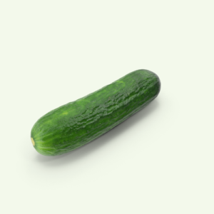 Concombre Persan 1 Kg